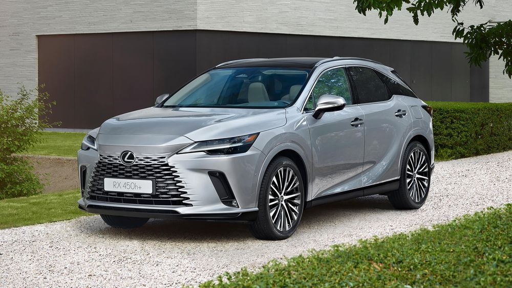 Zdjęcie w galerii numer 2