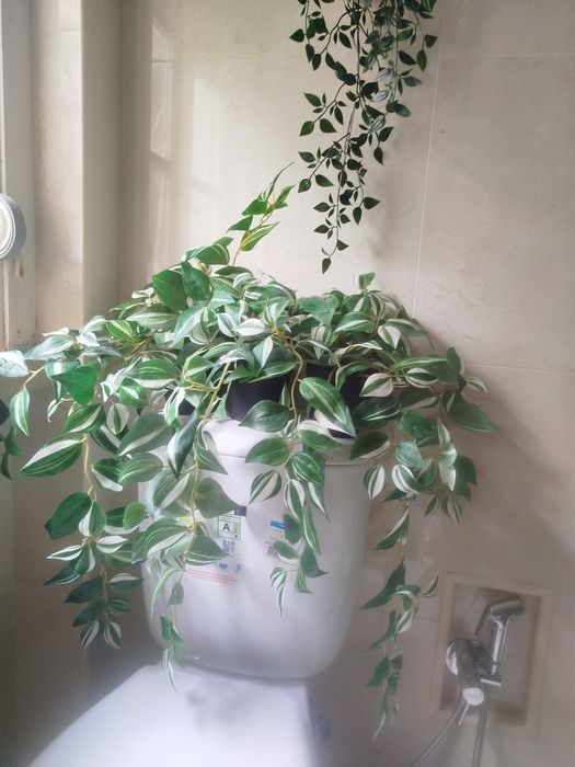 Pack 4 Plantas Artificiais Suspensas – Ideal para Casa de Banho / Interiores