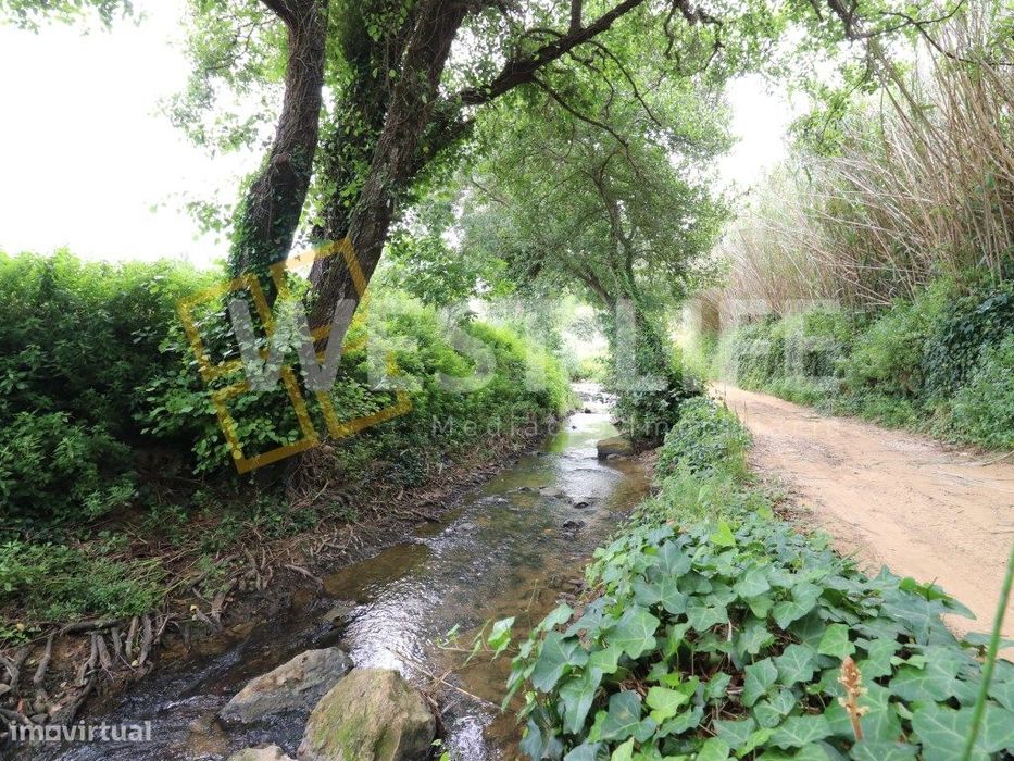 Terreno Rústico/ Agrícola de 3500m2 - Ericeira
