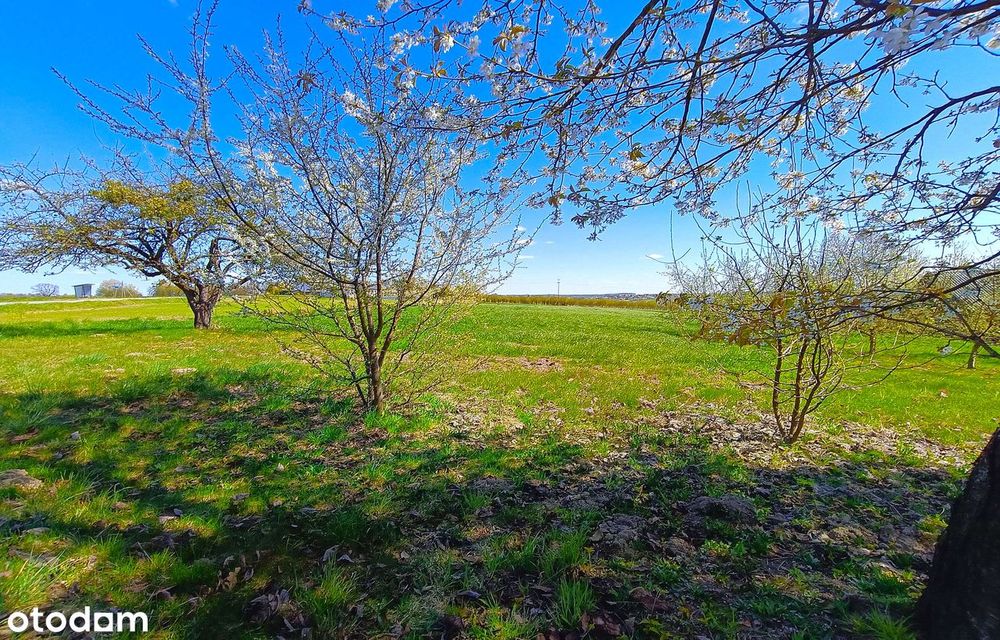 Roztocze - przestrzeń, światło, cisza - Widok 6