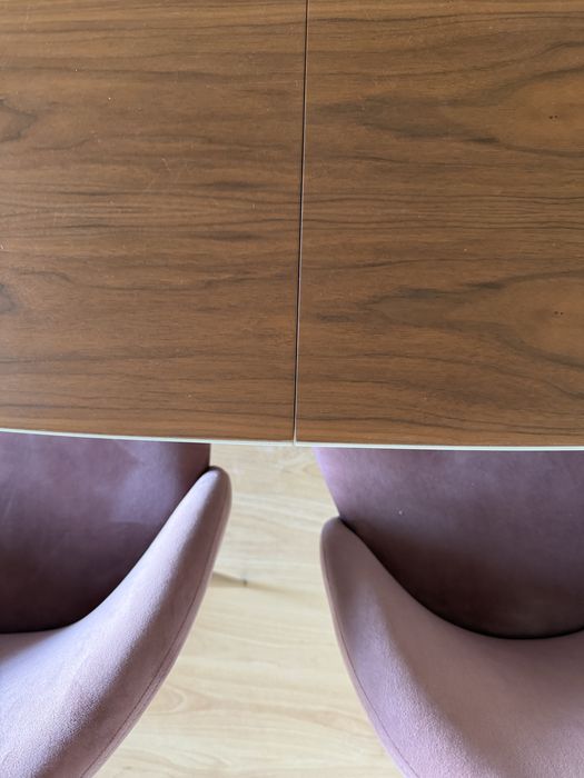 Conjunto de 6 cadeiras de jantar em veludo – rosa e verde