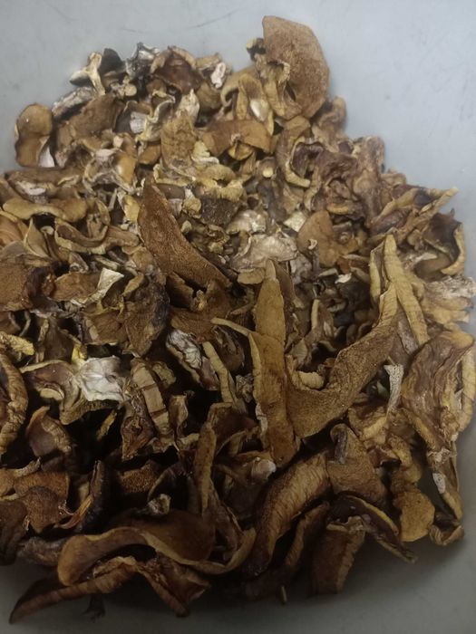 grzyby  suszone różne