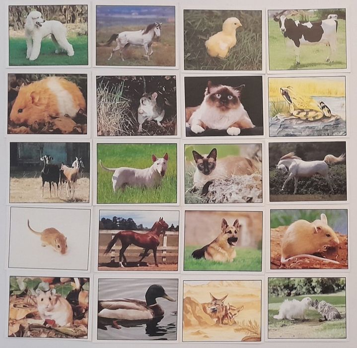 Coleção panini animais