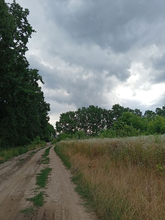 Продаж земельної ділянки Перемичка Агрономічне