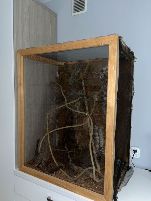 Terrarium dla kameleona/gekona/agamy/jaszczurki