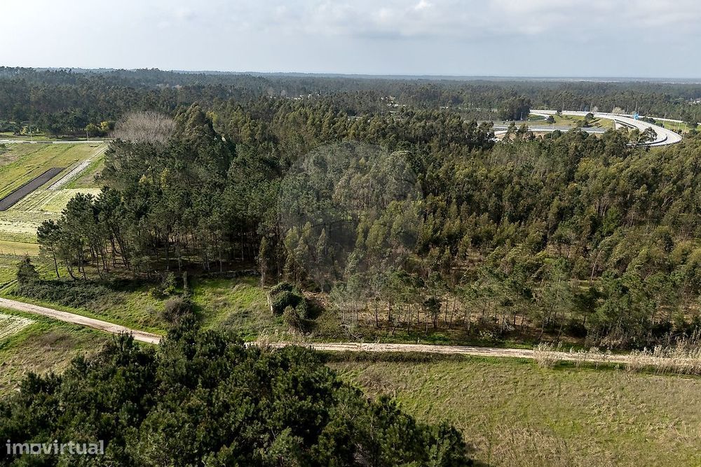 Terreno  para venda
