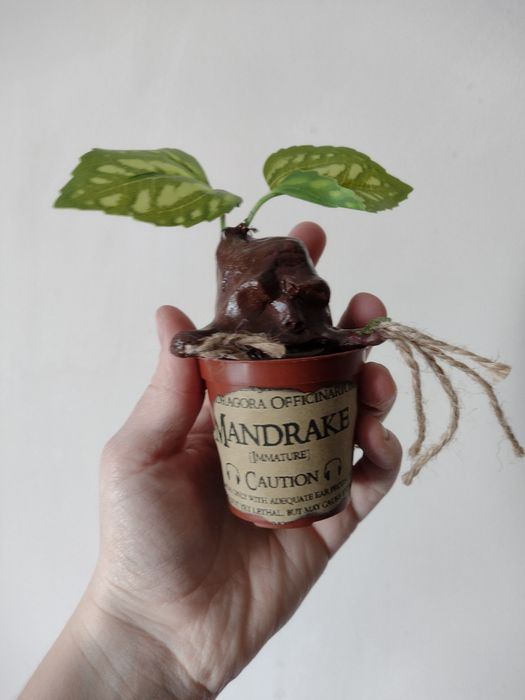 Mniejsza mandragora Harry Potter