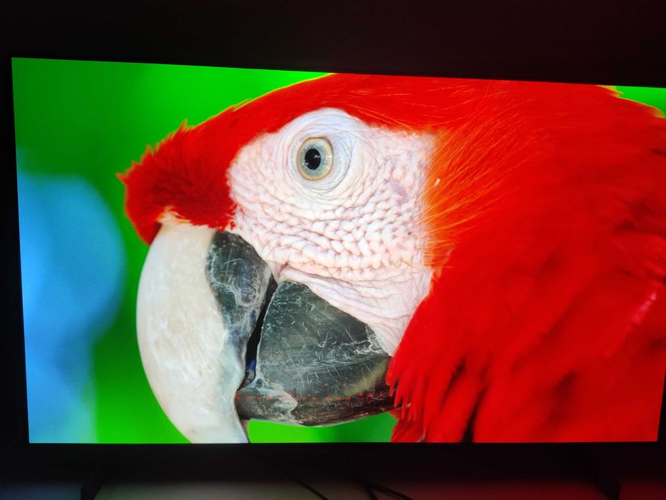 TV / Monitor OLED C2 42 4K 120HZ G-Sync