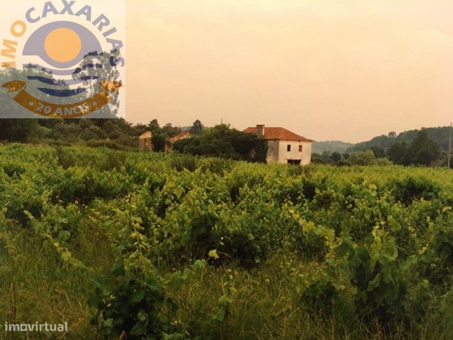 T4 Country House for Rehabilitation, with 16,000 m² of Land. Abundant water supply...