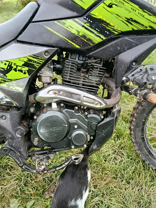 Продам шенерай 6ц