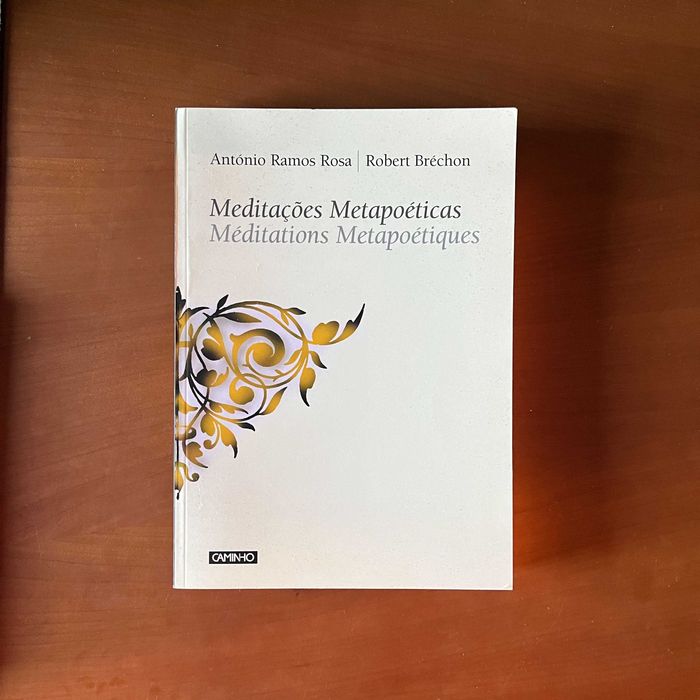 António Ramos Rosa / Robert Bréchon - Meditações Metapoéticas / Méditations Metapoétiques (1.ª edição, 2003)