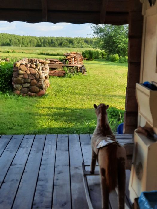 Noclegi Podlasie Supraśl Borki WOLNY WEEKEND w Uroczysku Chata z bala