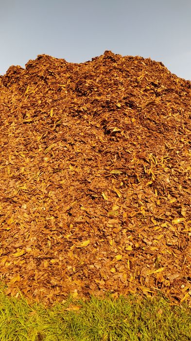 Kora sosnowa worki 80 litrów