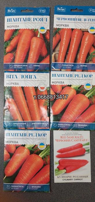 Насіння Моркви Лагуна Абако Канада Шантане Нантес Оленка Червоний Веле