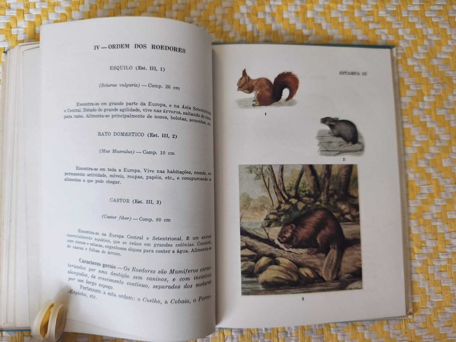 Compêndio de Zoologia  - 2º Ciclo Liceal – 3º Ano