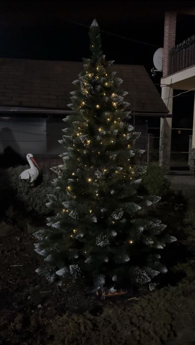 Відпочинок в Карпатах (смт.Славсько)