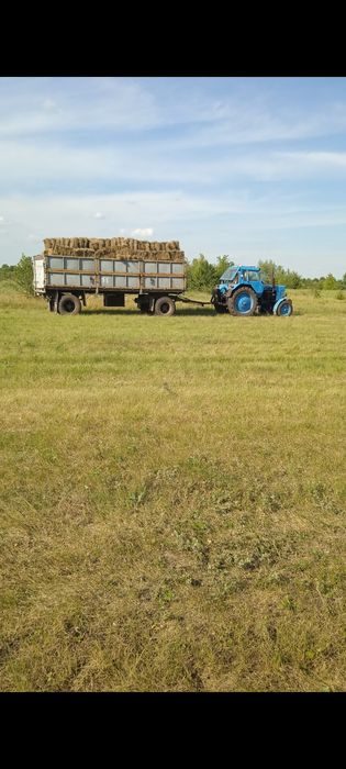 Продам сіно лугове