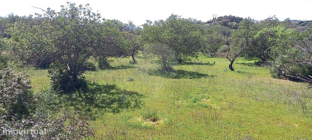 Terreno  para venda