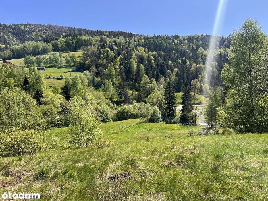 Pilnie sprzedam działkę budowlaną z widokiem Zalesie – obniżka!