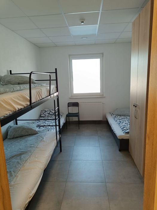 Pokoje kwatery do wynajecia