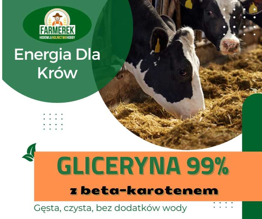 Gliceryna 99 %z beta-karotenem, Glikol/cena brutto /dowóz,wysyłka