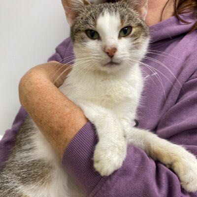 Doris szuka wspaniałej rodziny