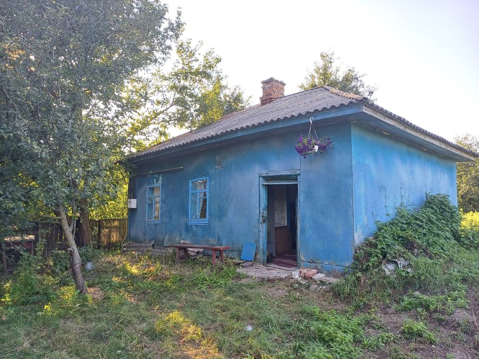 Продам будинок в с. Виблі