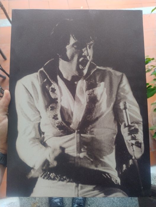 Conjunto de 2 telas – Elvis Presley