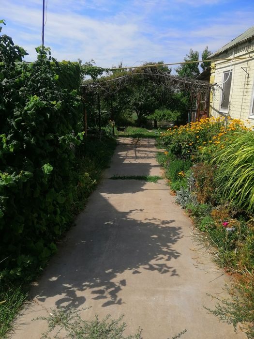 Продам дом в селе Всесвятское. Новомосковский район.