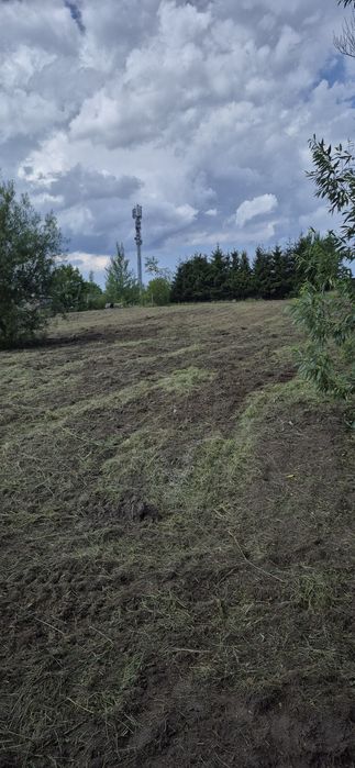 Czyszczenie działek | Karczowanie | Wykopy