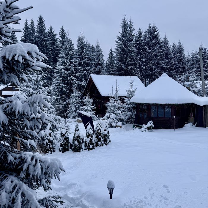 «Котеджі біля лісу» на 4-8 осіб