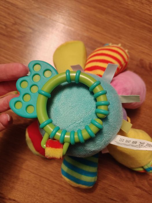 Ośmiornica sensoryczna