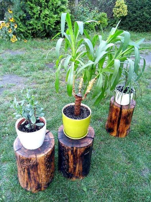 Pionek, taboret z litego drewna