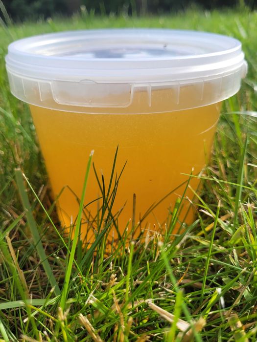 Смачний мед зі своєї пасіки