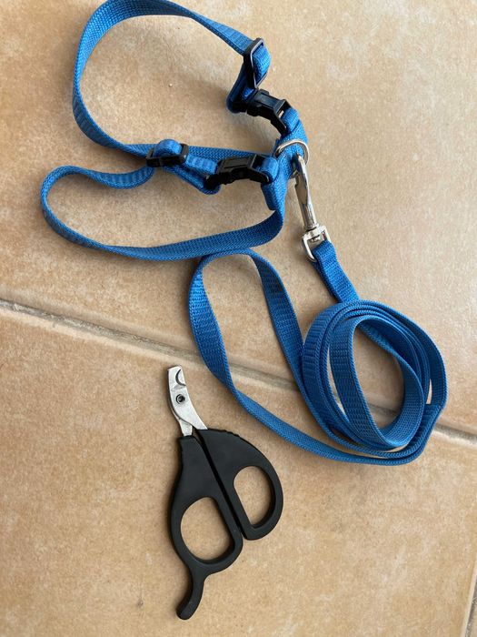 Acessórios para Gato c/ ofertas