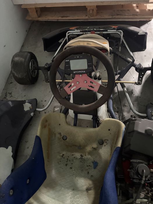 Kart 125cc 2T - Motor Rotax