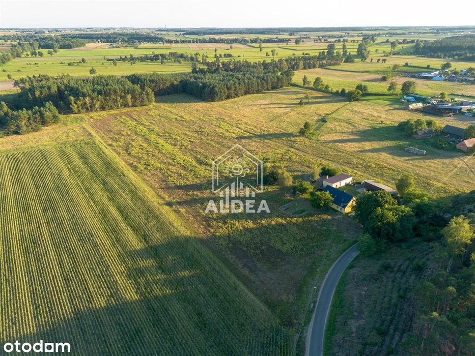 Działki budowlane pod lasem w Jakubowie