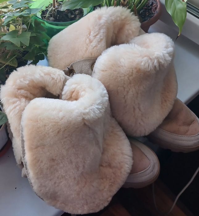 Класична вінтажна модель UGG Australia із серії Roxy Tall