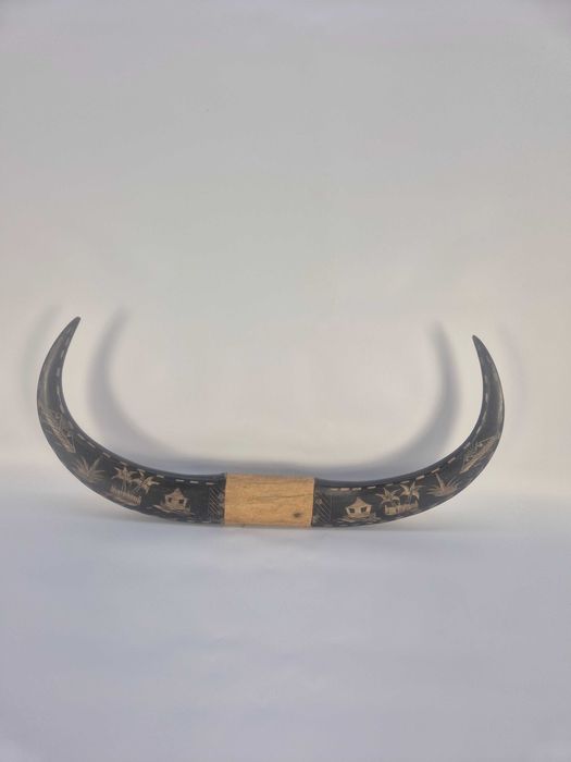 filipińska  sztuka  SCRIMSHAW na rogach  bawołów  wodnych