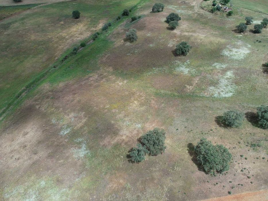 herdade no baixo Alentejo