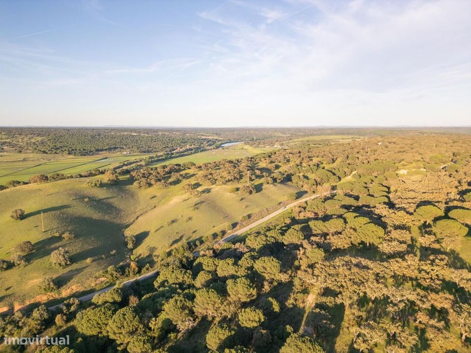 Rustic Land Plot 33.3 ha, Vale de Guizo, Alcacer do Sal