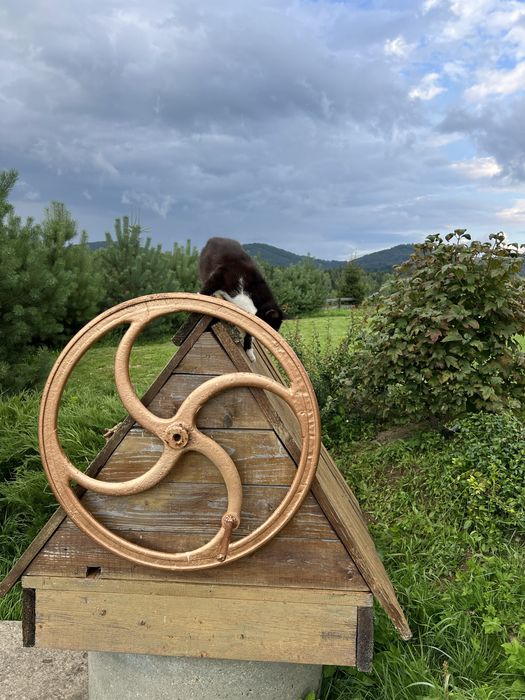 Будинок в Карпатах близько ГК Плай, СПА, ліс. Котедж 140 км від Львова