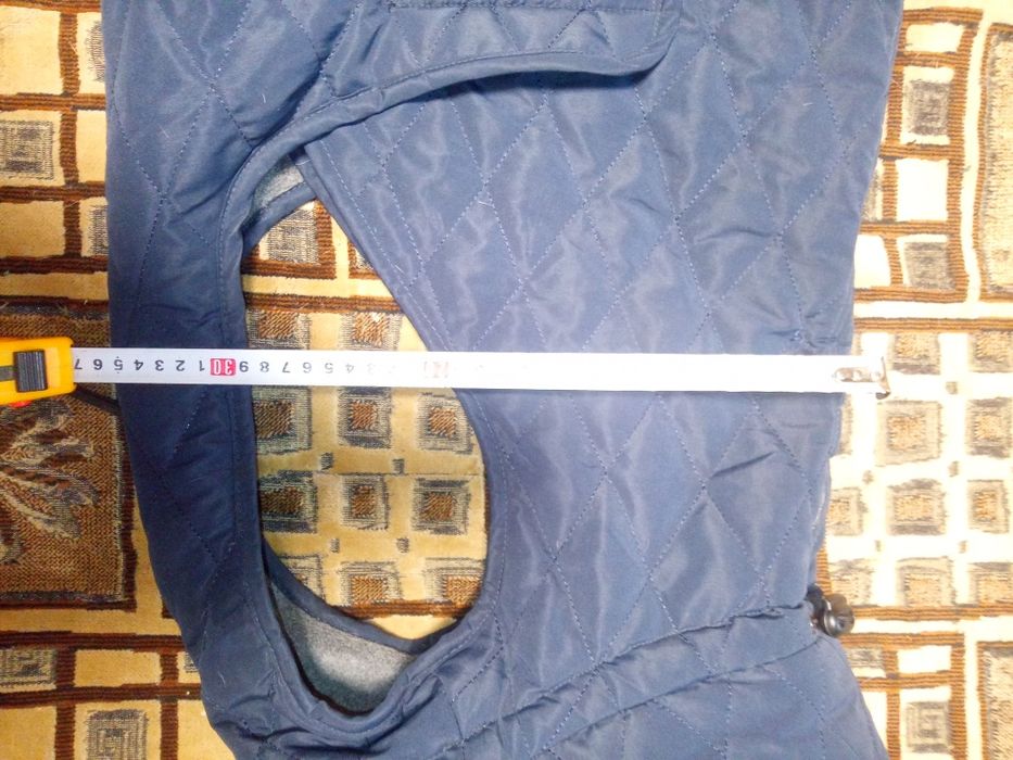 Одежда для собак