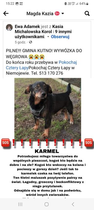 Jedt tak mało czasu. Pies w potrzebie