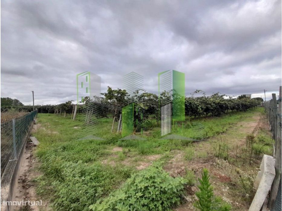 Terreno Venda Cantanhede — Covões E Camarneira, Coimbra