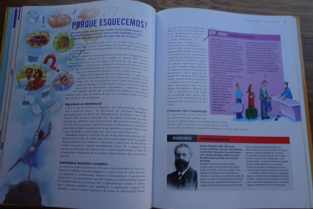 Uma Boa Memória (O Poder do Cérebro)