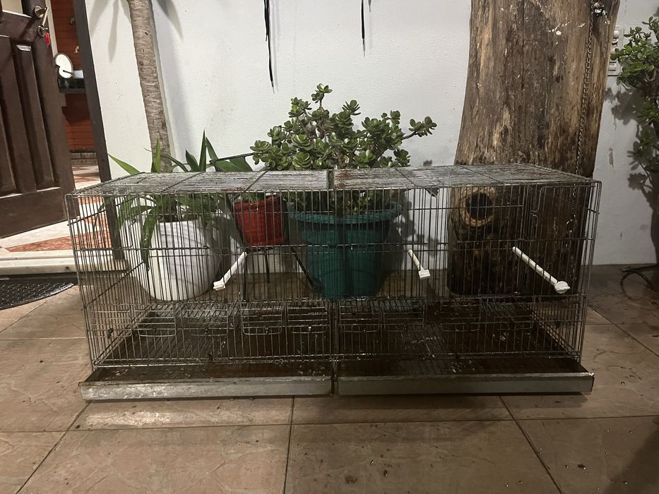 Gaiolas com algum uso