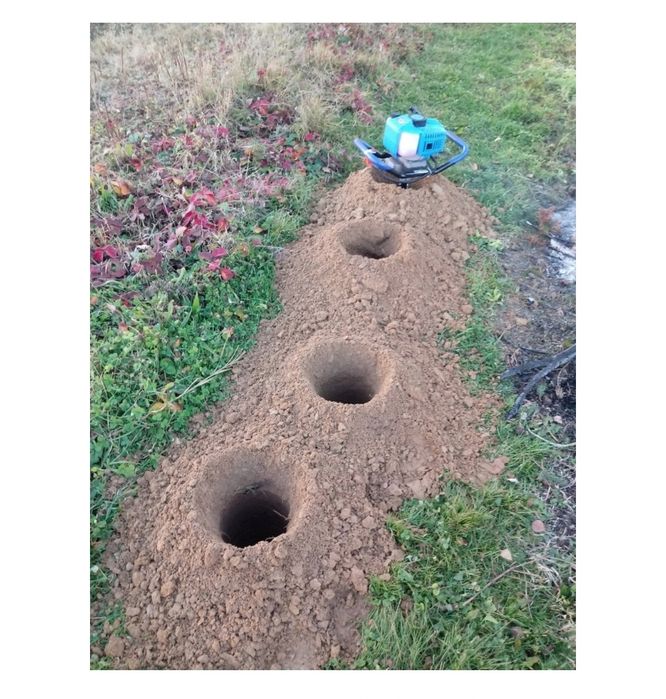 Wiertnica spalinowa Tuje Budowa Ogród