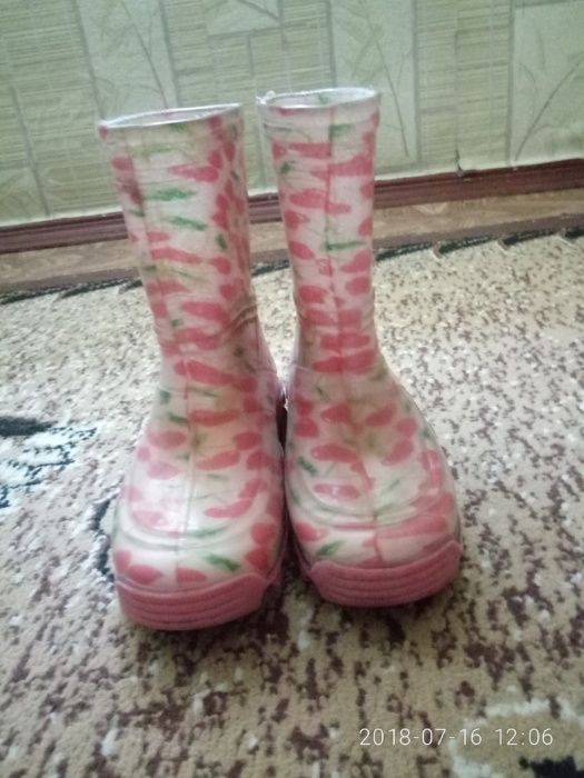 Резиновые сапожки.демар