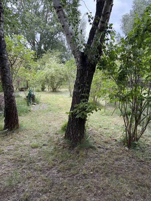 Piękna działka ROD – další